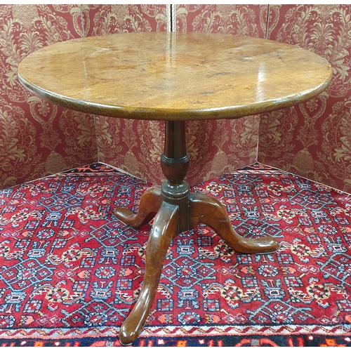 558 - An early 19th Century possibly 18th Oak supper Table with floral inlaid top on tripod supports. H 65... 