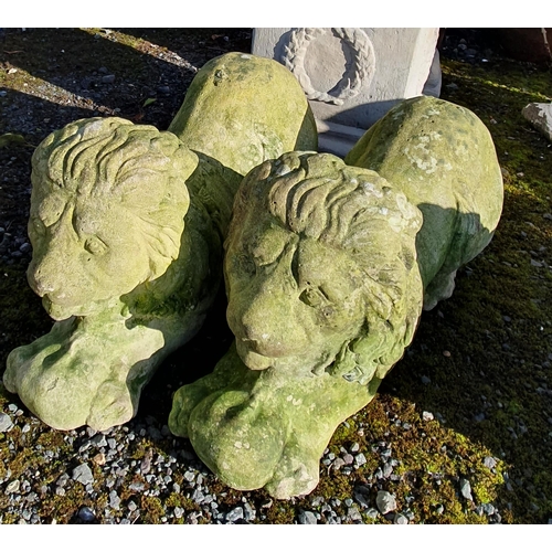 1073 - A pair of recumbent Stone Lions.
L 57 cm approx.