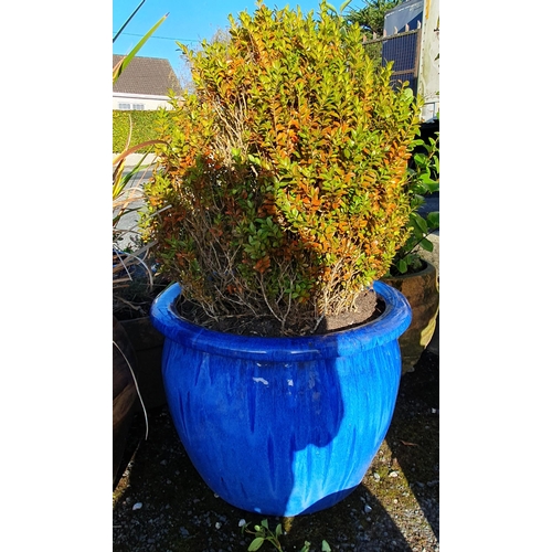 1076 - A very large Blue glazed Pot.
H 45 x D 60 cm approx.