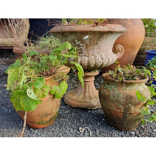 1083A - A group of three terracotta Pots.
Largest H 47 x D 45 cm approx. small H 25  cm approx.