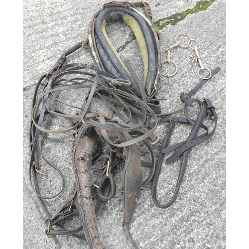 1096 - A pair of 19th Century Hames along with a very very large selection of horse tack.