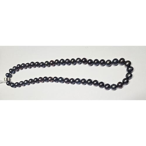 402 - A Black Pearl necklet with a Silver Clasp.