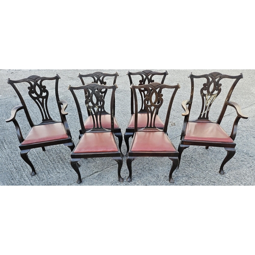 1020 - A good set of six early 20th Centuary Mahogany pierced back dining Chairs with ball and claw support... 