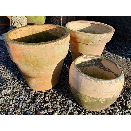 1055 - Three smaller Terracotta Pots.
Largest H 40 x  D 40 cm approx.