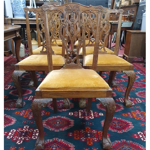 1090 - An early 20th Century Mahogany Dining Suite consisting of a D end dining Table and eight Chippendale... 