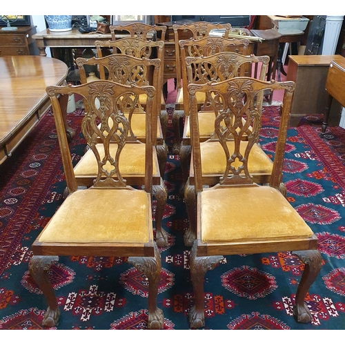 1090 - An early 20th Century Mahogany Dining Suite consisting of a D end dining Table and eight Chippendale... 