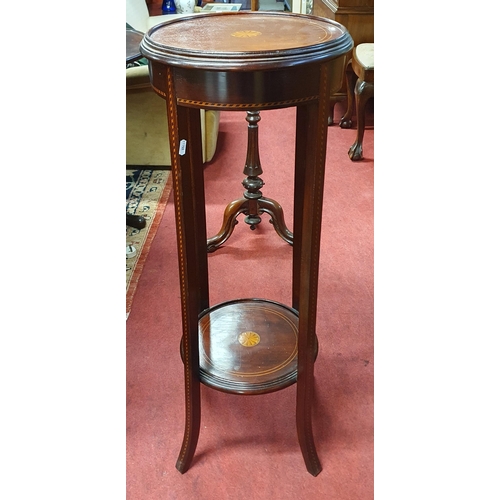 565 - An Edwardian Mahogany and Inlaid Plant stand.
D 36 x H 97 cm approx.