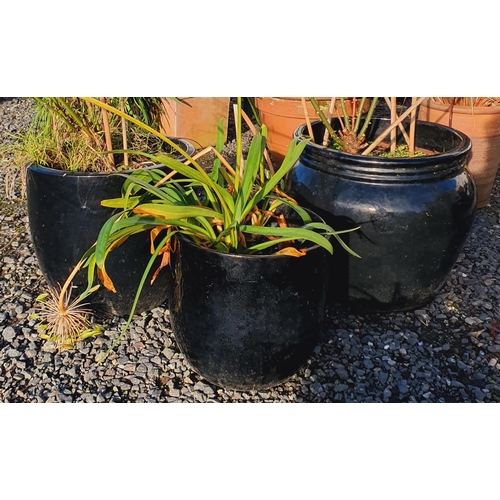 1397 - A quantity of Black Ceramic Pots.
Largest H 44 x D 48 cm approx.