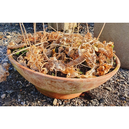 1398 - A large square reconstituted Stone Pot with miniature bamboo plant along with a shallow terracotta p... 