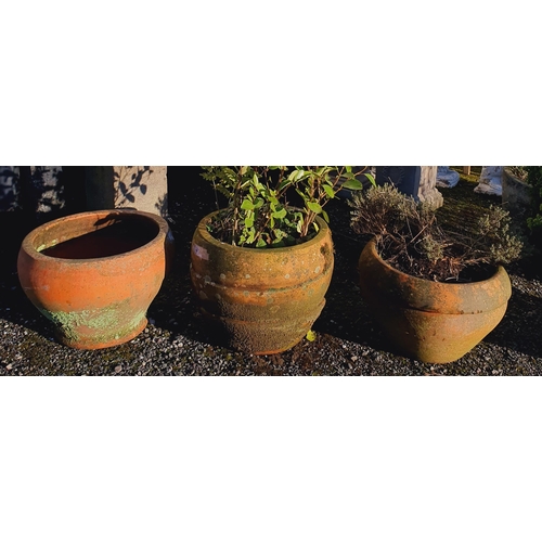 1402 - A group of Five Terracotta Pots.
H 36 x  D 50 cm approx.