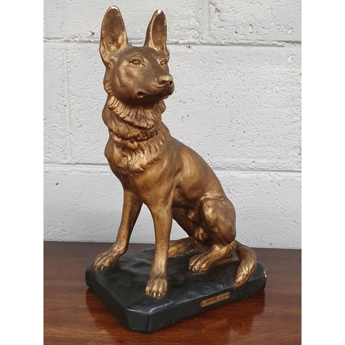 9 - A well moulded Plaster fireside figure of an Alsatian with makers name indistinct. 
36 cm approx.