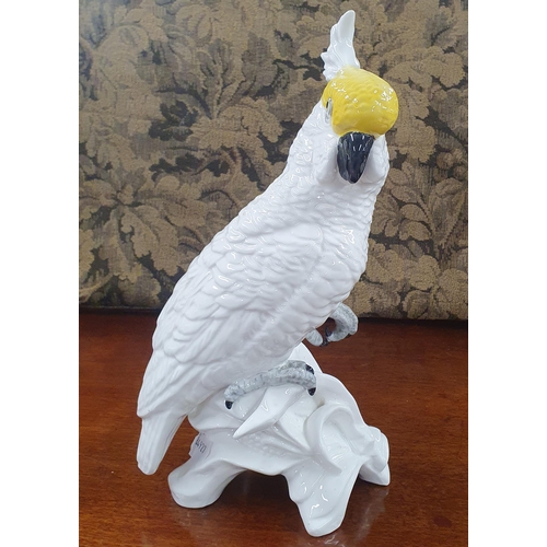 796 - A large Royal Staffordshire figure of a Cockatoo modeled by J T Jones. H 32 cm approx.