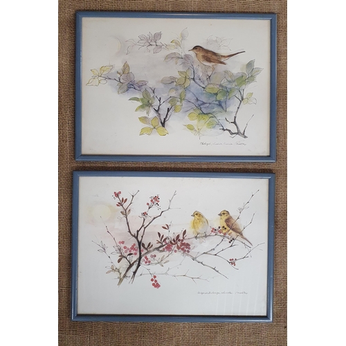 1000 - A good set of four coloured Prints of Birds.
30 x 40 cm approx.