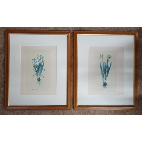 758 - A set of four still life coloured Prints along with a collage of dried flowers. 49 x 40 cm approx.