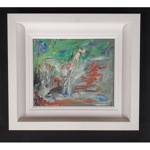 1010 - Con Campbell (Irish) oil on Board 'Lurcher' signed LR. Frame size 45 x 40 cms approx.