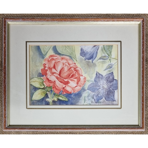 72 - A 20th Century Watercolour of Roses and Clematis by Hildegard Fleet. Signed LR. 17 x 24 cm approx.