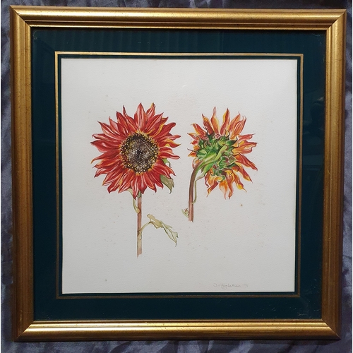 573 - A 20th Century Watercolour of Sunflowers. Indistinctly signed LR. In an eglomise style frame. H 33 x... 