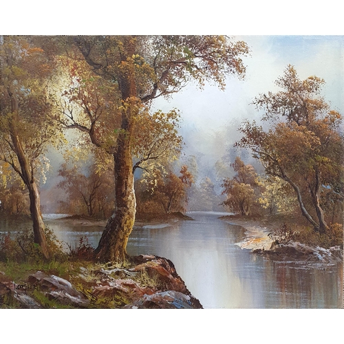 17 - An Oil on Canvas Landscape of a lake scene with trees to the fore, unframed. Signed Carter LL. 
41 x... 