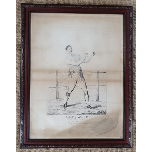 49 - A pair of early 19th Century Engravings of boxers, James Ward age 26 weighs about 12 stone, stands 5... 