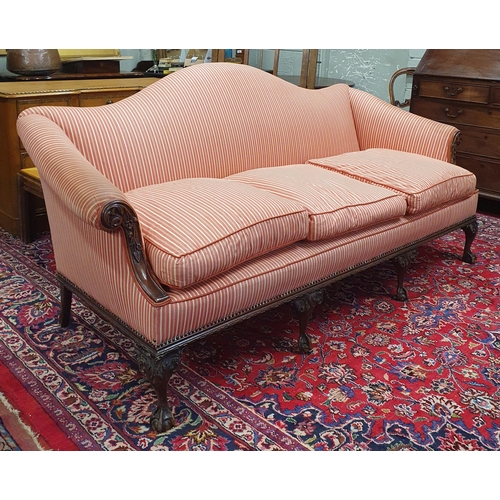 383 - A Superb late 19th early 20th Century Mahogany showframe humpback three seater Couch possibly Irish.... 