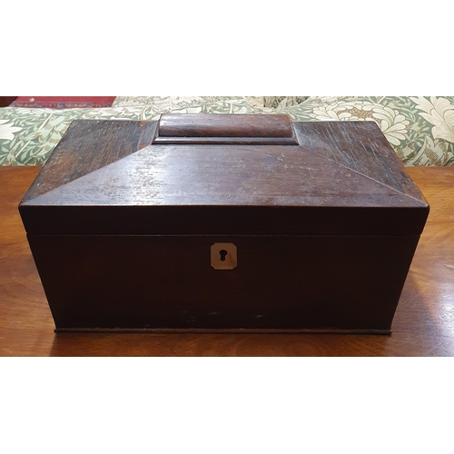 597 - A Regency Rosewood Tea Caddy with fitted interior. 33 x 17 x 18 cm approx.