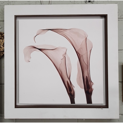 118 - A large colour Print of Lilies. 78 x 79 cm approx.