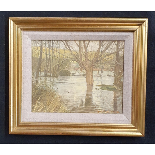 131 - A 20th Century Oil On Board 'Willow in Floods' by Noel Sheperdson, signed LR. 24 x 19 cm approx.