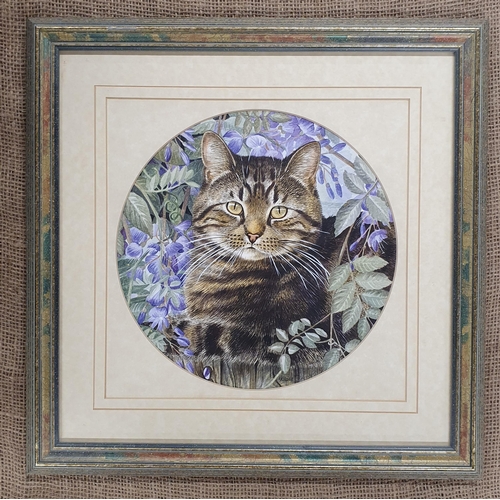 394 - A 20th Century Watercolour of a Tabby Cat in a country setting. Signed LR Valerie Briggs, Frame 41 x... 