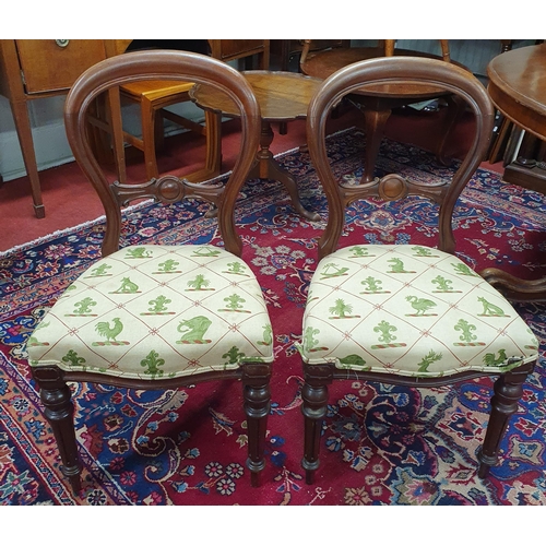 653 - A good pair of 19th Century balloon back Chairs of good quality on turned fluted supports. W 47 x SH... 