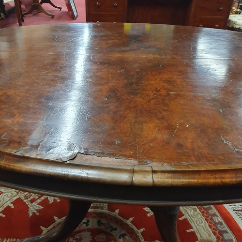 646 - A Victorian Walnut and Burr Walnut oval Supper Table on quatrefoil base.
135 x 96 x H 69 cm approx.