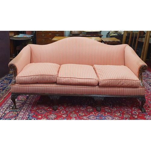 383 - A Superb late 19th early 20th Century Mahogany showframe humpback three seater Couch possibly Irish.... 