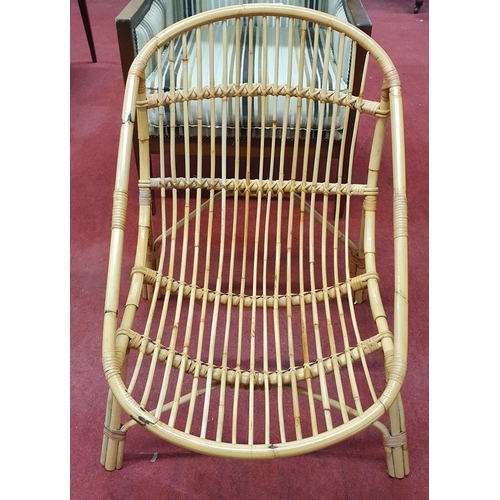 579 - A Modern Wing Back Arm Chair along with a Vintage Cane Chair. 
W 69 x SH 48 x BH 109 cm approx.