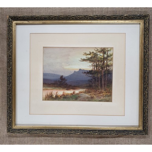 Lot 120       