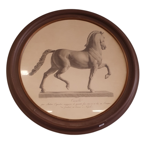 Lot 28        