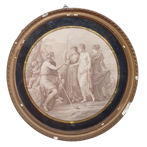Lot 15        