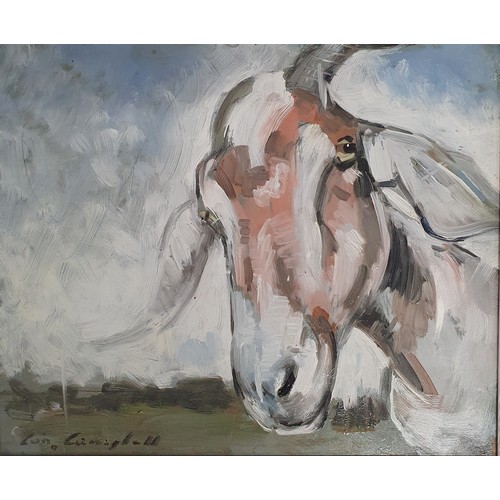 Lot 11        