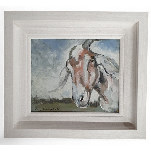 11 - Con Campbell (Irish). An Oil on Board 'Happy Goat'. Framed size 45 x 40cm approx.