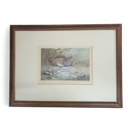 Lot 18        