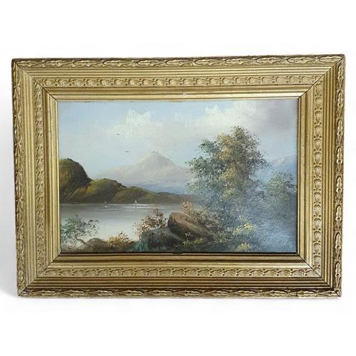 Lot 20        