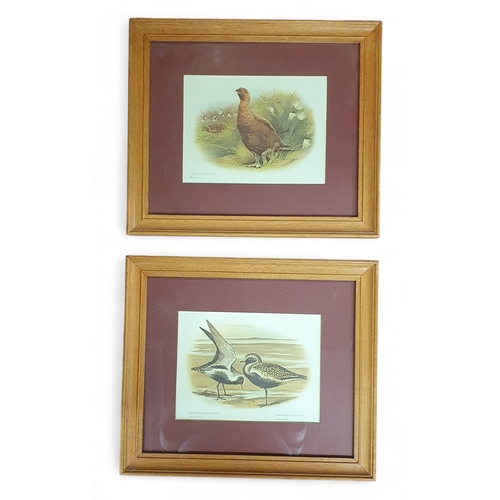 Lot 28        