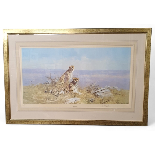 Lot 29        