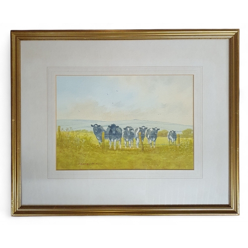 Lot 31        