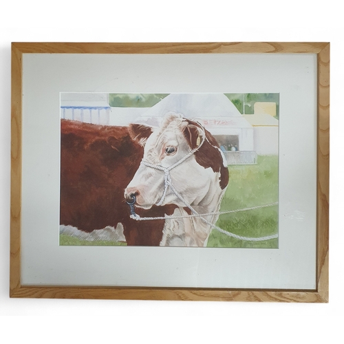 Lot 48        