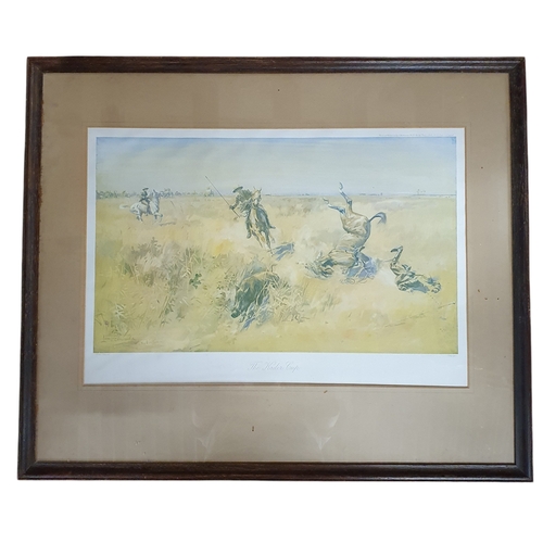 Lot 56        