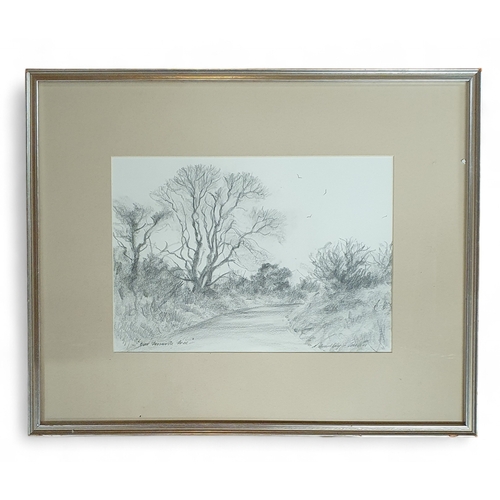 107 - A 20th Century Pencil Drawing of a river scene. Signed indistinctly LR. 24 x 33 cm approx.