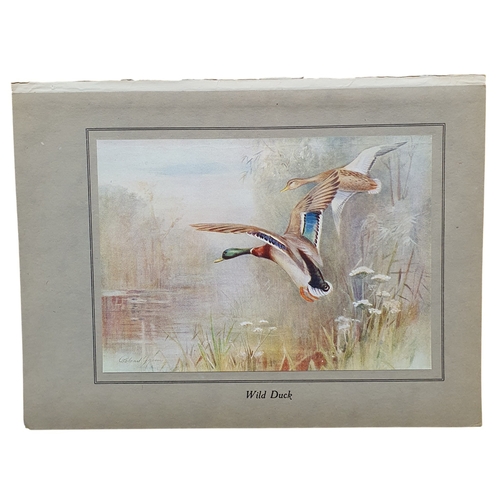 60 - After Rowland Green, a good collection of coloured Prints.