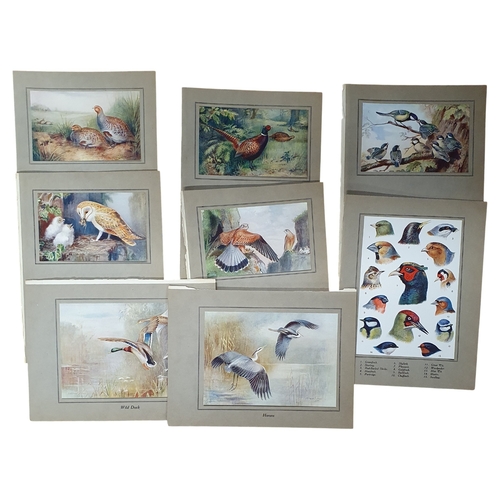 60 - After Rowland Green, a good collection of coloured Prints.