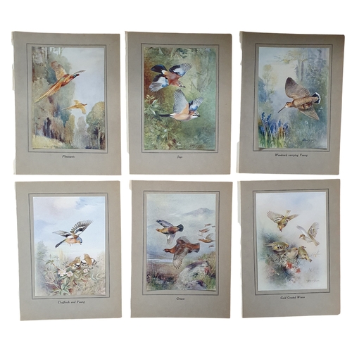 60 - After Rowland Green, a good collection of coloured Prints.