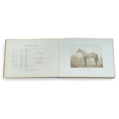 209 - Stallions (Illustrated) by Clarence Hailey Newmarket Vol 1 parts 1-5.