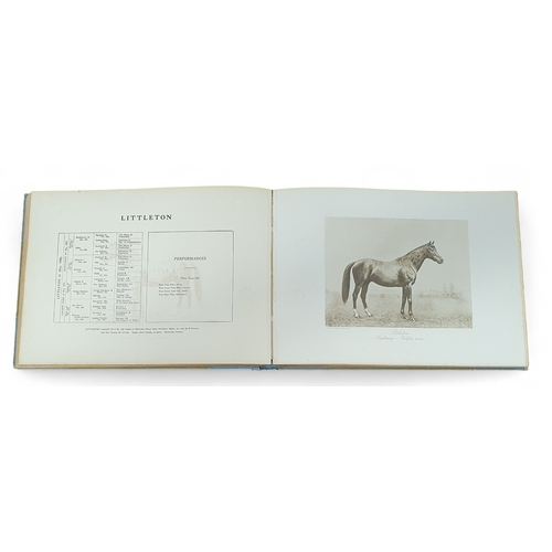 209 - Stallions (Illustrated) by Clarence Hailey Newmarket Vol 1 parts 1-5.